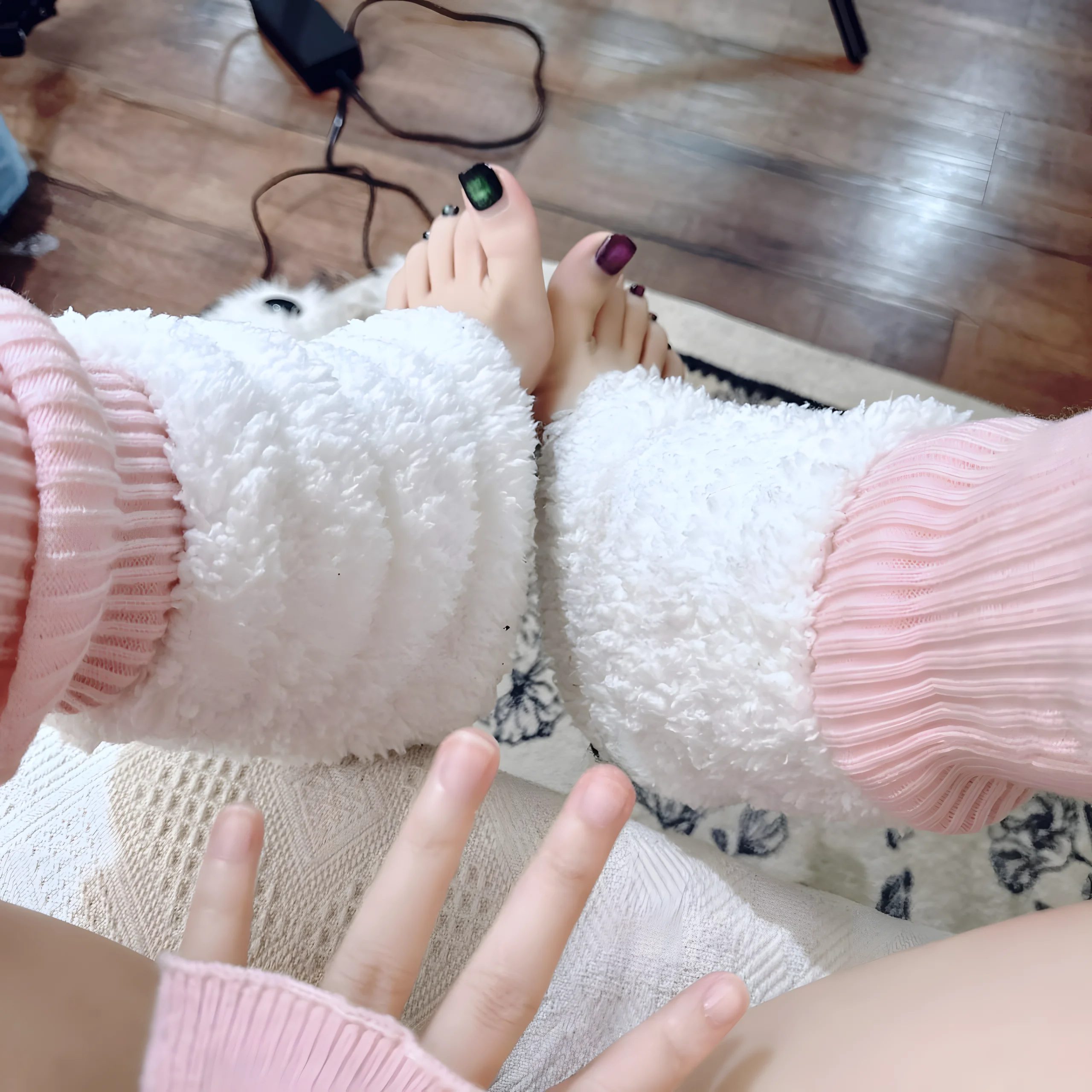 《Re：从零开始的异世界生活》雷姆：CatDemon喵崽 - 第95张写真大图
